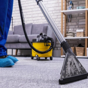 website business picture carpet purity