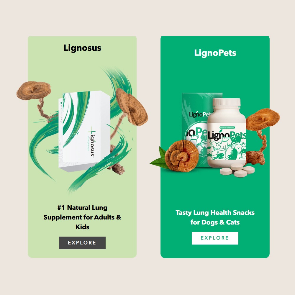 lignosus canada lignosus canada
