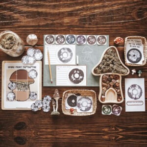 Home acorns and aprons1