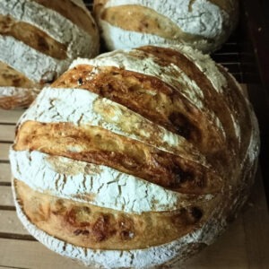 Home similkameen wild breads